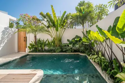 a swimming pool in a garden with plants at Stylish 2 bedroom Villa in Prime Location in Canggu