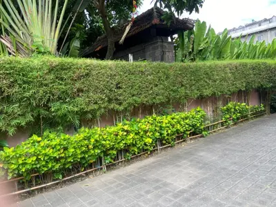 a hedge with green plants on a wall at P Hotel Kuta-3minutes to the beach by Micky Studio in Legian