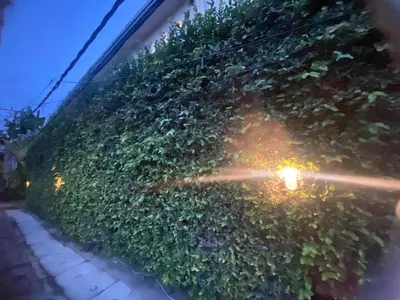 a hedge on the side of a building at night at SH Hotel Kuta- 20 Second to the Beach by Micky Studio in Legian