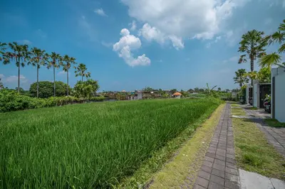 a field of tall green grass next to a road at Villa Luuma 3 - Cozy Umalas Oasis, 1BR Private Villa in Canggu