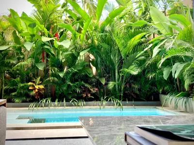 a tropical garden with a swimming pool and plants at DUNE Villas in Seminyak