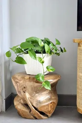 a potted plant sitting on top of a wooden stump at Villa Mannah - Managed By Chayah Bali Villa Group in Kuta