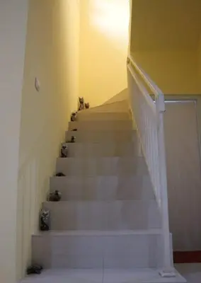a set of stairs with a dog walking down them at Terace Campus A4 in Jimbaran