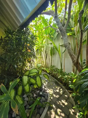 a greenhouse with a bunch of plants and a tree at Villa Seni in Seminyak
