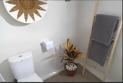 a bathroom with a toilet and a mirror and a plant at Villa Mimoza Umalas Bali in Kerobokan