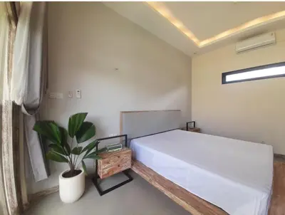 a bedroom with a large bed and a potted plant at Villa Rova in Kerobokan