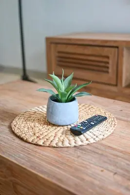 a plant in a pot next to a remote control at Villa Laskmi Legian in Seminyak