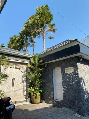 a building with a palm tree in front of it at Luxury 3 BR Elegant intertior Perfect for group in Kerobokan