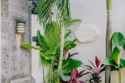 a bunch of plants are on a wall at Stylish 3BR Villa in Central Berawa Canggu - near Finns in Canggu
