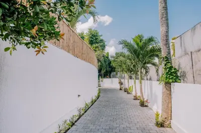 a sidewalk next to a white wall with palm trees at Stylish 3BR Villa in Central Berawa Canggu - near Finns in Canggu