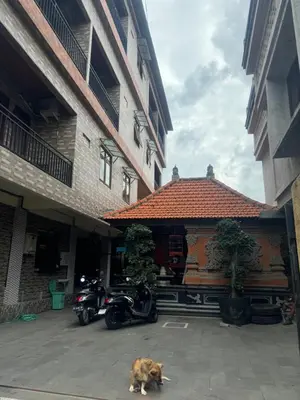 a dog standing in front of a building with a motorcycle at Brekele Berawa Beachhouse in Canggu