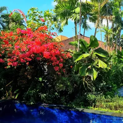 a bush of red flowers next to a swimming pool at Villa Casa Jamika in Seminyak