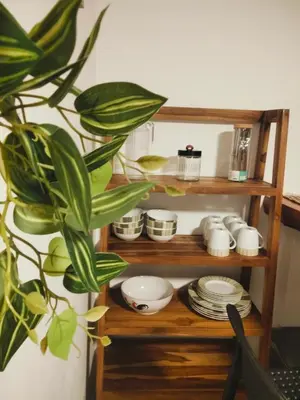 a wooden shelf with dishes and a plant at Amshiga 2 in Jimbaran