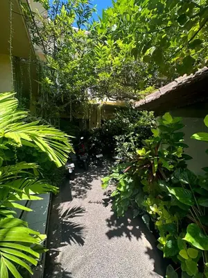 a garden with lots of plants and a pathway at Sari Buana Bed & Breakfast in Kuta