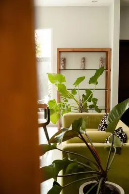 a living room with a green couch and plants at Bali Bliss Residence in Seminyak