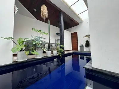 a swimming pool with potted plants in a house at CWB Villa in Kerobokan