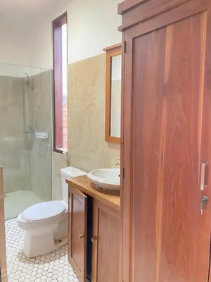 a bathroom with a sink and a toilet and a shower at Karna Guest House in Seminyak