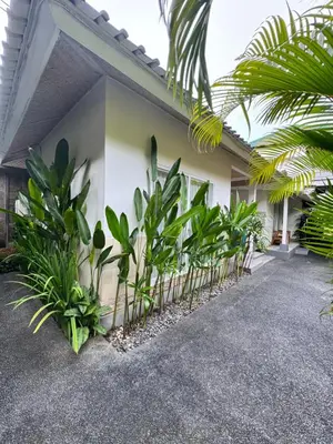 a house with plants in front of it at Kubu Betel Home Stay in Canggu