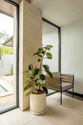 a plant in a pot sitting next to a chair at tuluscolivingseminyakvilla2 in Seminyak