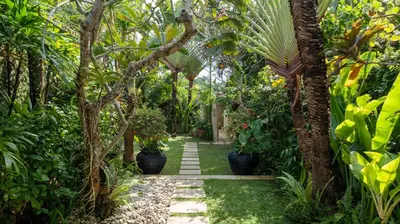 a path through a garden with palm trees and plants at Gembira Villa Seminyak in Canggu