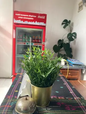 a potted plant sitting on top of a table in front of a refrigerator at RBE Hotel Kuta 2- 5 Min to Airport&Beach by Micky Studio in Ngurah Rai International Airport