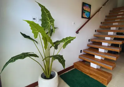 a plant in a white pot next to a staircase at Villa Casanomi By Pandara in Kerobokan