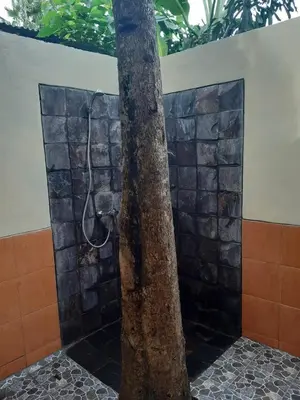 a shower next to a palm tree in a bathroom at Desa Biasa in Kerobokan