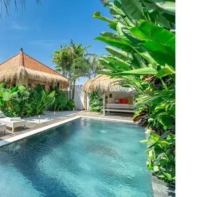 LePalms villa