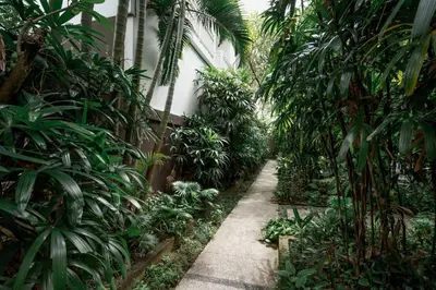 a path through a garden with palm trees at Homely Bali at Rajapala in Seminyak