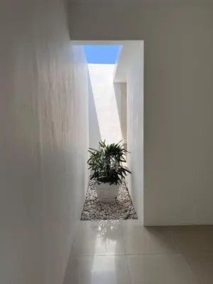 a hallway with a potted plant in a white room at Villa Tara in Seminyak