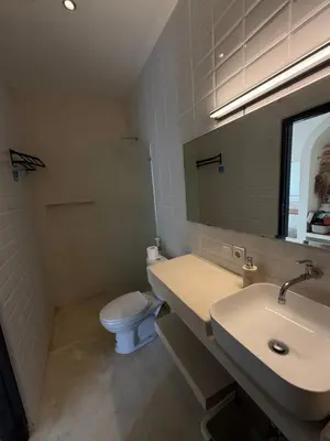 a bathroom with a sink and a toilet and a mirror at Villa Bambu in Sanur