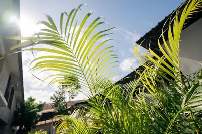 a group of palm trees in front of a building at Kuta Sekeca CoWorking Apartment Close to Kuta Beach in Jimbaran