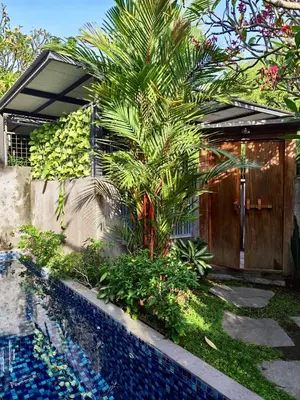 a house with a palm tree next to a swimming pool at Bob's Hideaway Villa - Umalas in Umalas