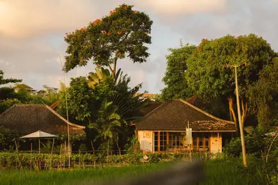a house with a tree in front of it at Magia de Uma, a Member of Design Hotels in Canggu