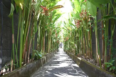 a long hallway of plants on a wall at Casa Veluna - Seminyak in Seminyak