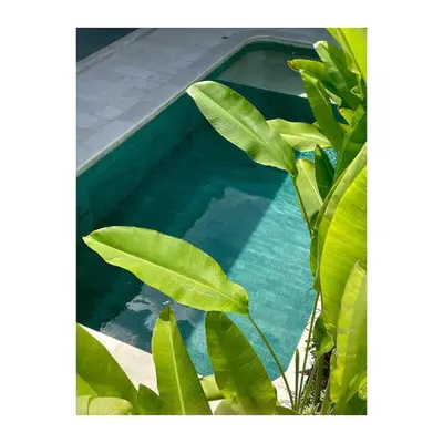 a swimming pool with green plants around it at Villa Jiji cozy chic in Bali - just renovated ! in Canggu