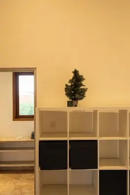 a plant sitting on top of a white book shelf at Charming Two Bedroom Villa Near Seminyak Beach in Seminyak