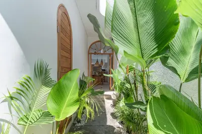 a hallway with green plants in a building at Villa MAVI Seminyak in Seminyak