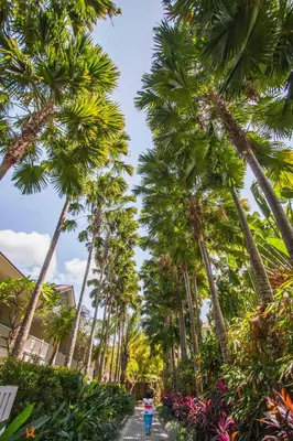 a person riding a bike down a path between palm trees at Montigo Resorts Seminyak in Seminyak