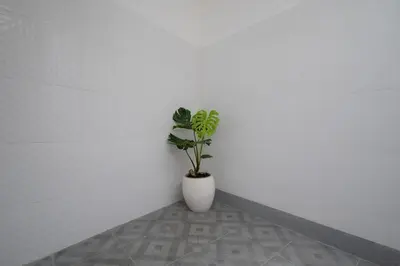 a plant sitting in a corner of a white wall at Casa Sopi - Art Villa 2BR Near Batu Belig Beach in Seminyak