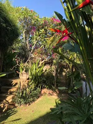 a garden with many different plants and flowers at Lush 1 BR Private Pool Villa inSeminyak in Kerobokan