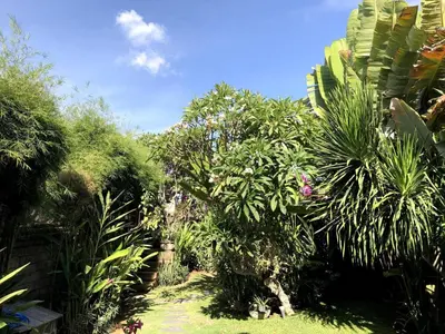 a garden with trees and plants on a sunny day at Lush 1 BR Private Pool Villa inSeminyak in Kerobokan