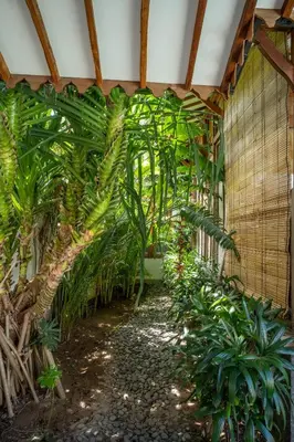 a greenhouse with a bunch of plants in it at Tuluscoliving Villa Kuta 3, 3 Bedroom & 3 Bathroom in Ngurah Rai International Airport