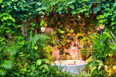 a ivy covered wall with a bath tub in a garden at Alora Comfortable 1 BR Smart Pool Villa With Jacuzzi in Seminyak