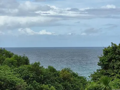 a view of a large body of water with trees at villa dreamland beach 300 meter private walk in Jimbaran