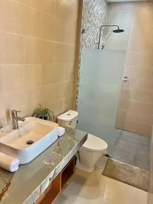 a bathroom with a sink and a toilet and a shower at FrangipaniVilla in Seminyak
