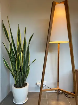 a plant in a white pot next to a lamp at Casa Oliva - Tropical Pool Villa on Trendy Seminyak Eat Street in Seminyak