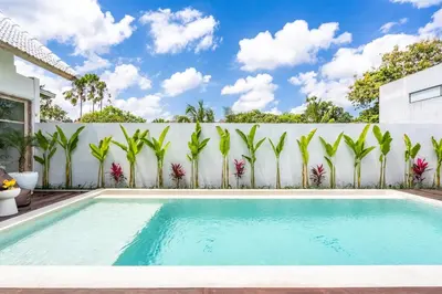 a swimming pool in front of a white fence with palm trees at Blush Elegance 2 BR Villa in Umalas in Canggu