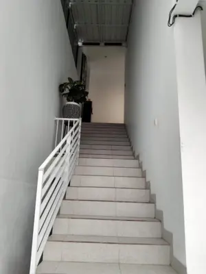a staircase in a building with a potted plant at wiratijenengguesthouse in Kerobokan
