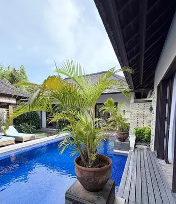 a potted plant sitting next to a swimming pool at Alex Villa Bali in Seminyak